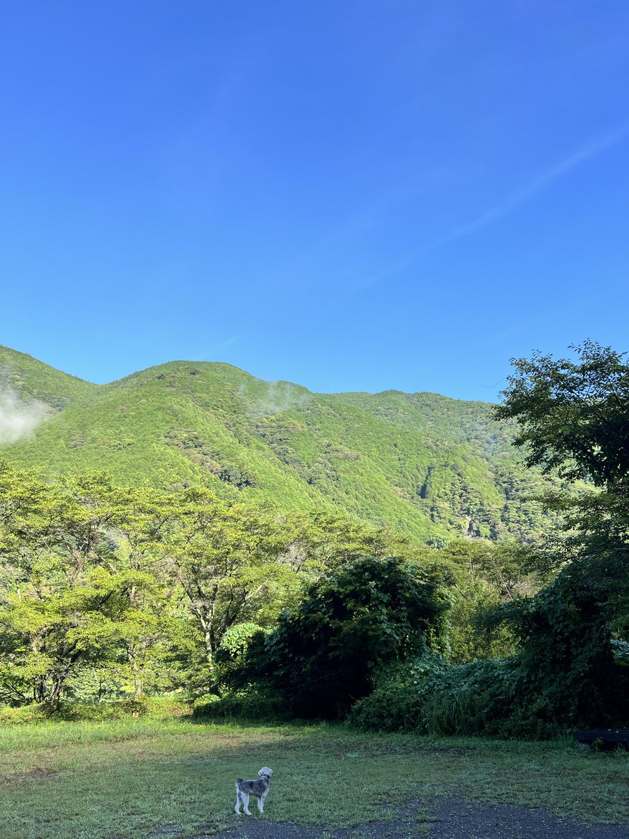 kogumaplace's tweet photo. 久しぶりのお天気投稿です。
静岡市オクシズの「こぐまplace」です。
こんなにきれいな青空は久しぶりに見ました。ずっと曇っていたか、昨日の午後は水けむりで前が見えないほどの雨が降っていた時間もありました。
今日は暑くなりそうですね。
#企業公式が毎朝地元の天気を言い合う https://t.co/WlFawfAFaN