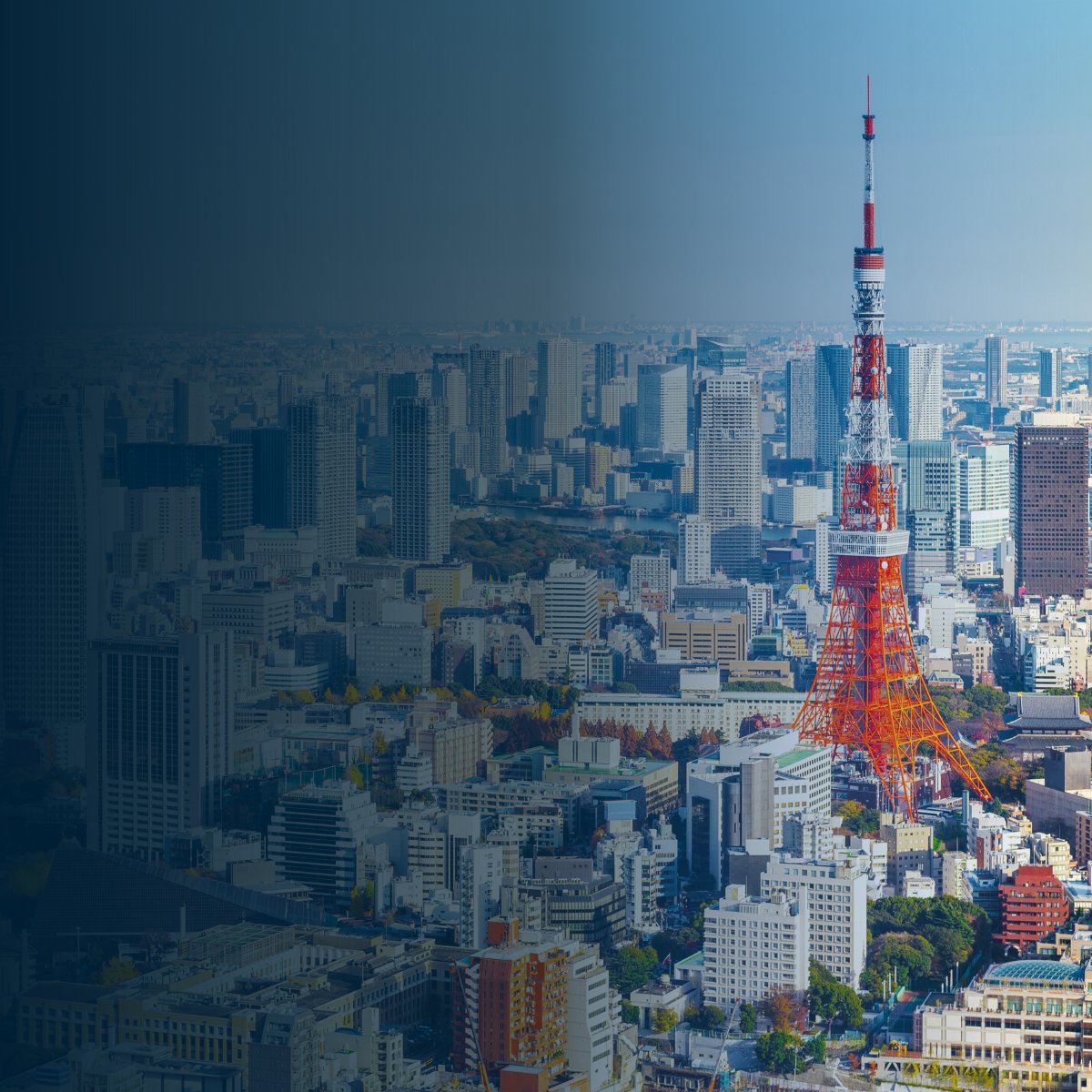 DCIGroup's tweet photo. Japan's leadership transition is about more than politics. Managing Partner Brian McCabe explores what it could mean for the U.S.–Japan alliance, regional security, and businesses operating across the Indo-Pacific.

See what Japan's next chapter means for business and policy.

https://t.co/czlqURffZN