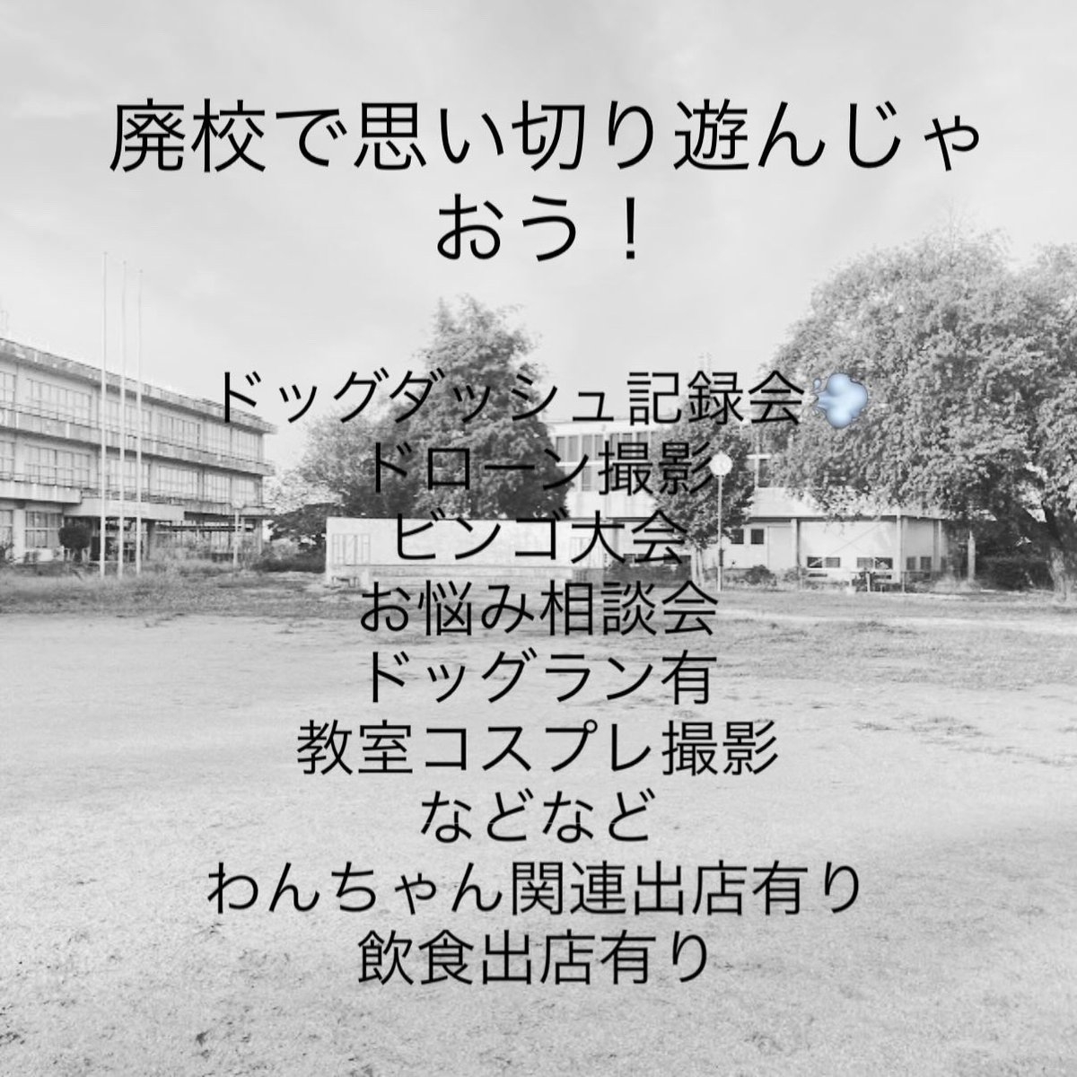 miho_okoshi's tweet photo. 美浦村地域おこし協力隊の近藤です
11月15日日曜日旧木原小学校跡地で開催されるLOVELAB MEETS@MIHOMURAの募集が開始されましたラブラドールレトリバーまみれのイベントです村民の方でわんちゃんに興味がある方は是非遊びに来て下さい https://t.co/I8WbSsqu5j