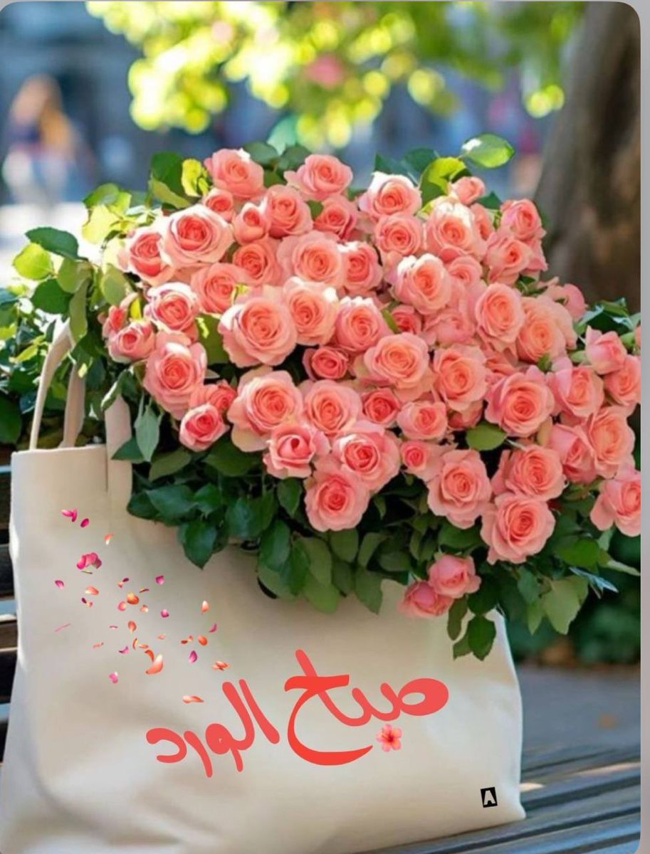 7598U's tweet photo. -
صباح الخير " لمن ينتظرها من صديق ؛من حبيب و من يتأمل جمال الصباح الآن وحيدًا."

#صباح_الورد🌷
. https://t.co/20DRATzhae