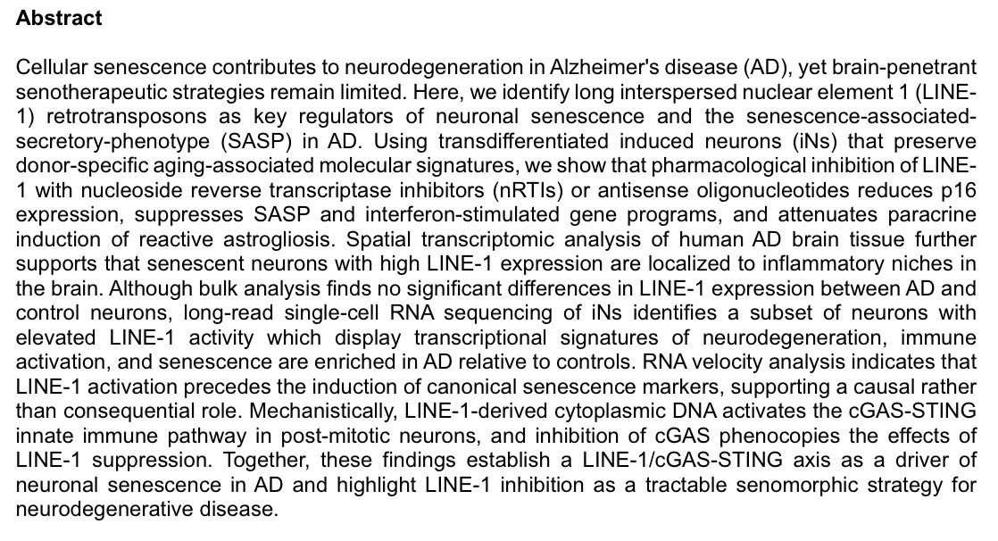 tautaton's tweet photo. 💫Cytoplasmic DNA Sensing Links LINE-1 Expression to Neuronal Senescence in Alzheimer's Disease https://t.co/V75Yspebzv
„these findings establish a LINE-1/cGAS-STING axis as a driver of neuronal senescence in AD and highlight LINE-1 inhibition as a tractable senomorphic strategy“ https://t.co/G8mwMzUZS3