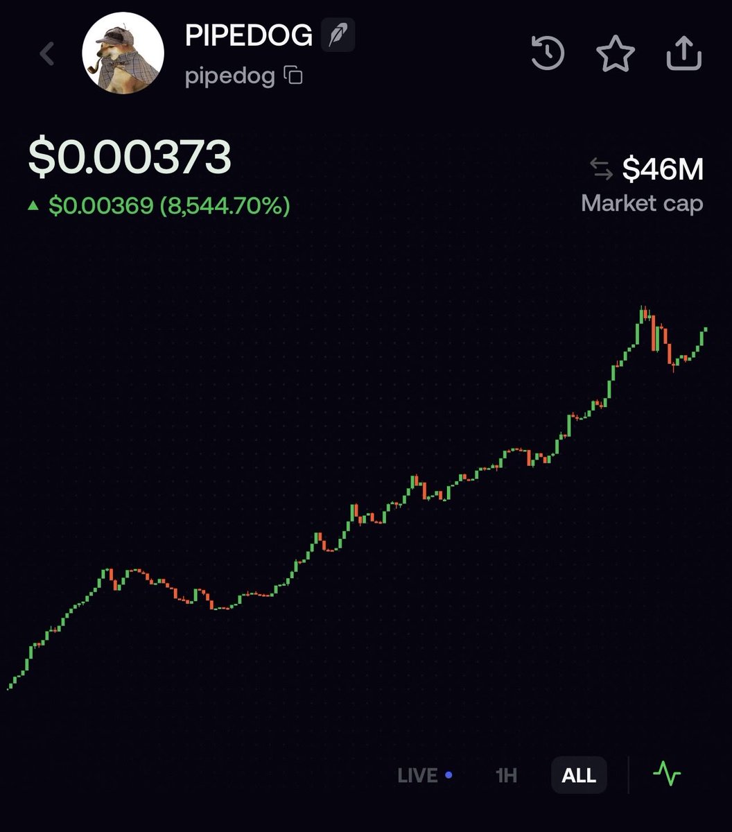 zupercycle's tweet photo. sold all my $cashcat at a loss for $pipedog now I’m up huge selling all my $pipedog to quadruple my $cashcat position here I would be stupid to hold when $cashcat is the obvious play this was probably my biggest gamble ever. https://t.co/NAPqv5M3cO