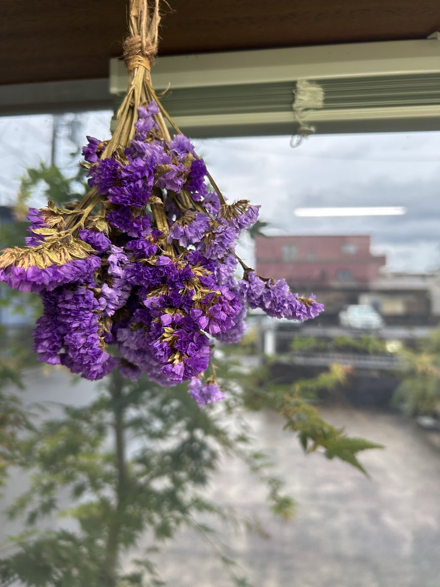 tebiyama's tweet photo. おはようございます。昨日は夕方からバケツをひっくり返したような雨。いつ止むのかと天気予報を見たら、熊本県で大きな地震…。いつどこで地震が起きてもおかしくありません。これ以上、ひどい被害が広がりませんように。そして、自身や身の回りの備えをしっかり見直し、必ず来る災害に備えましょう。 https://t.co/WMdCVeInJn