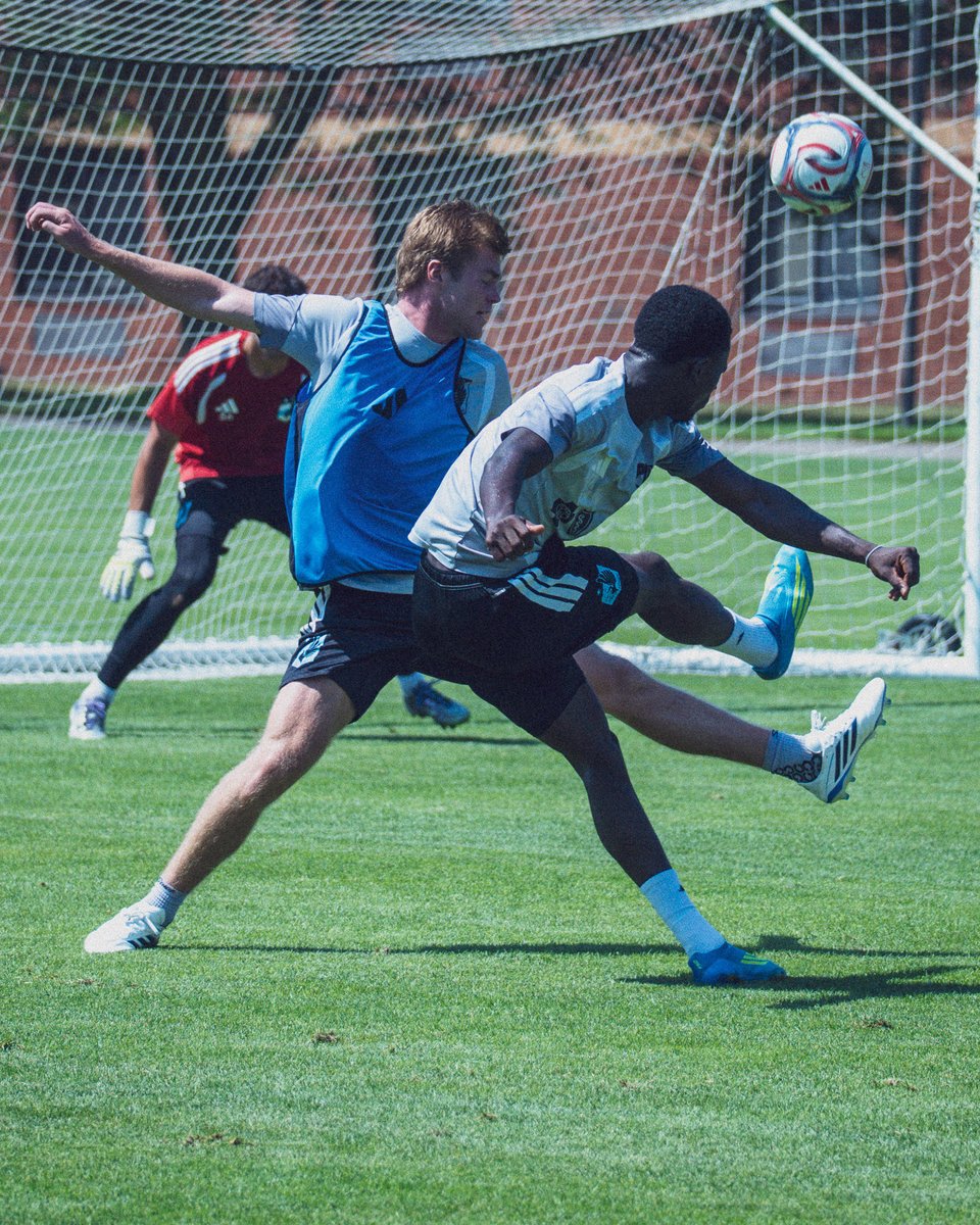 mnufc2's tweet photo. Poetry in motion https://t.co/WjCaJZZGyb