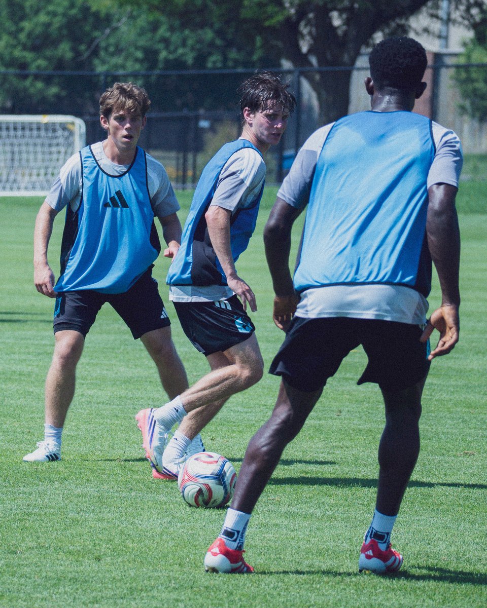 mnufc2's tweet photo. Poetry in motion https://t.co/WjCaJZZGyb