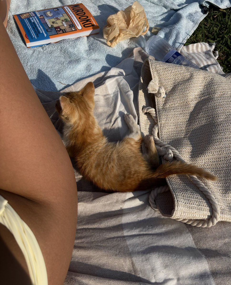 sarayprieto_'s tweet photo. 🐈🐾🐈‍⬛ https://t.co/rCuwTsw4Jw