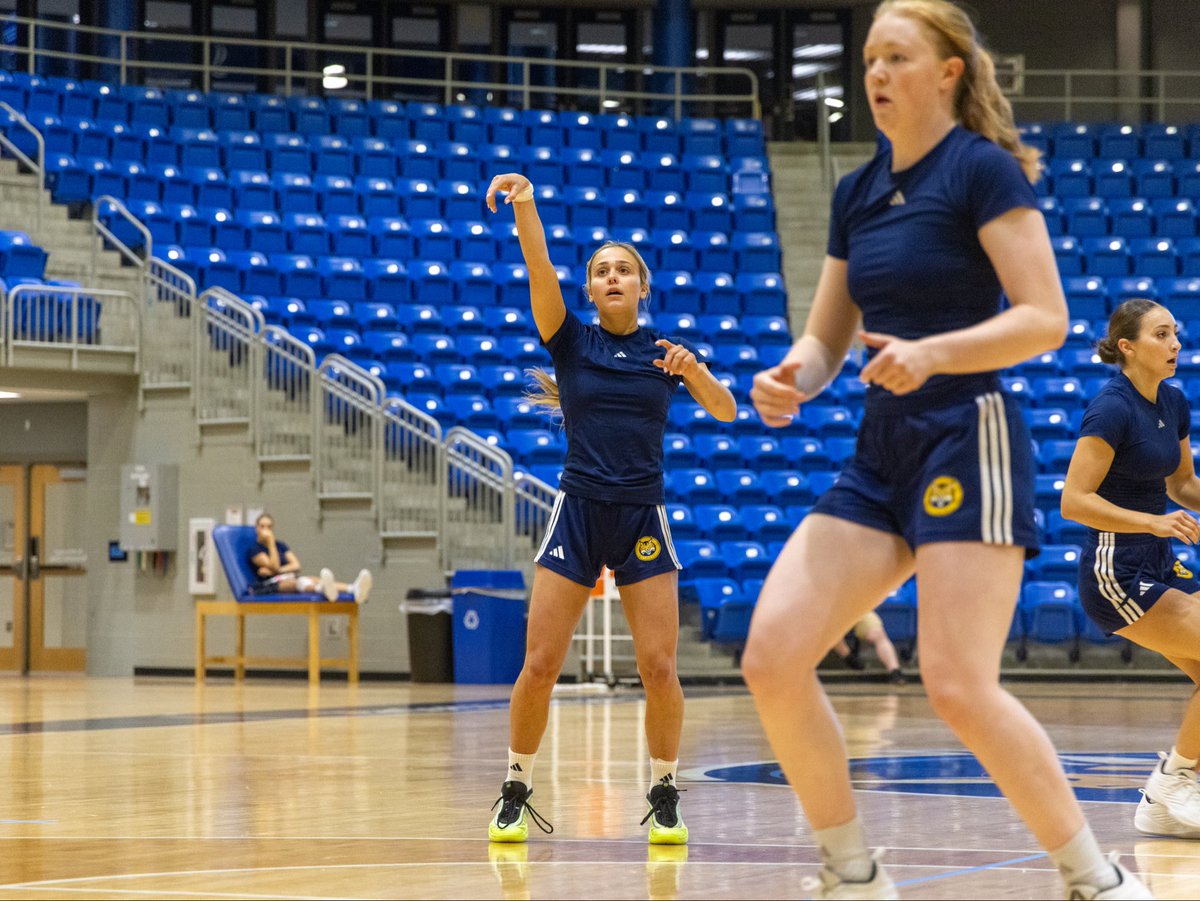 QU_WBB's tweet photo. Hard Work Continues in Hamden 😼

#BobcatNation x #ncaawbb https://t.co/XgQzwNCwp6