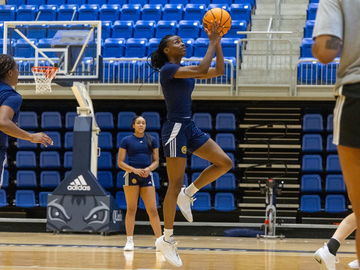 QU_WBB's tweet photo. Hard Work Continues in Hamden 😼

#BobcatNation x #ncaawbb https://t.co/XgQzwNCwp6