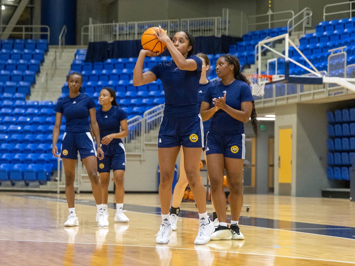 QU_WBB's tweet photo. Hard Work Continues in Hamden 😼

#BobcatNation x #ncaawbb https://t.co/XgQzwNCwp6