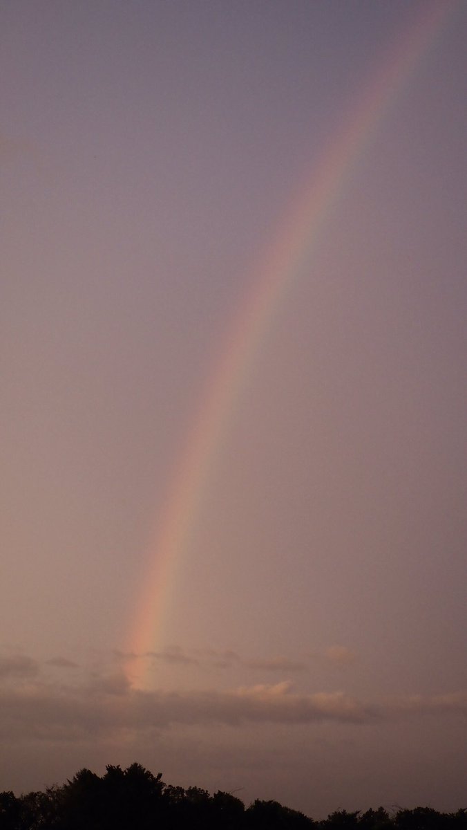nekomamasaki's tweet photo. 昨日の夕方の虹
#虹 #天気の図鑑 #halo_jp https://t.co/sZI6ZybOQX