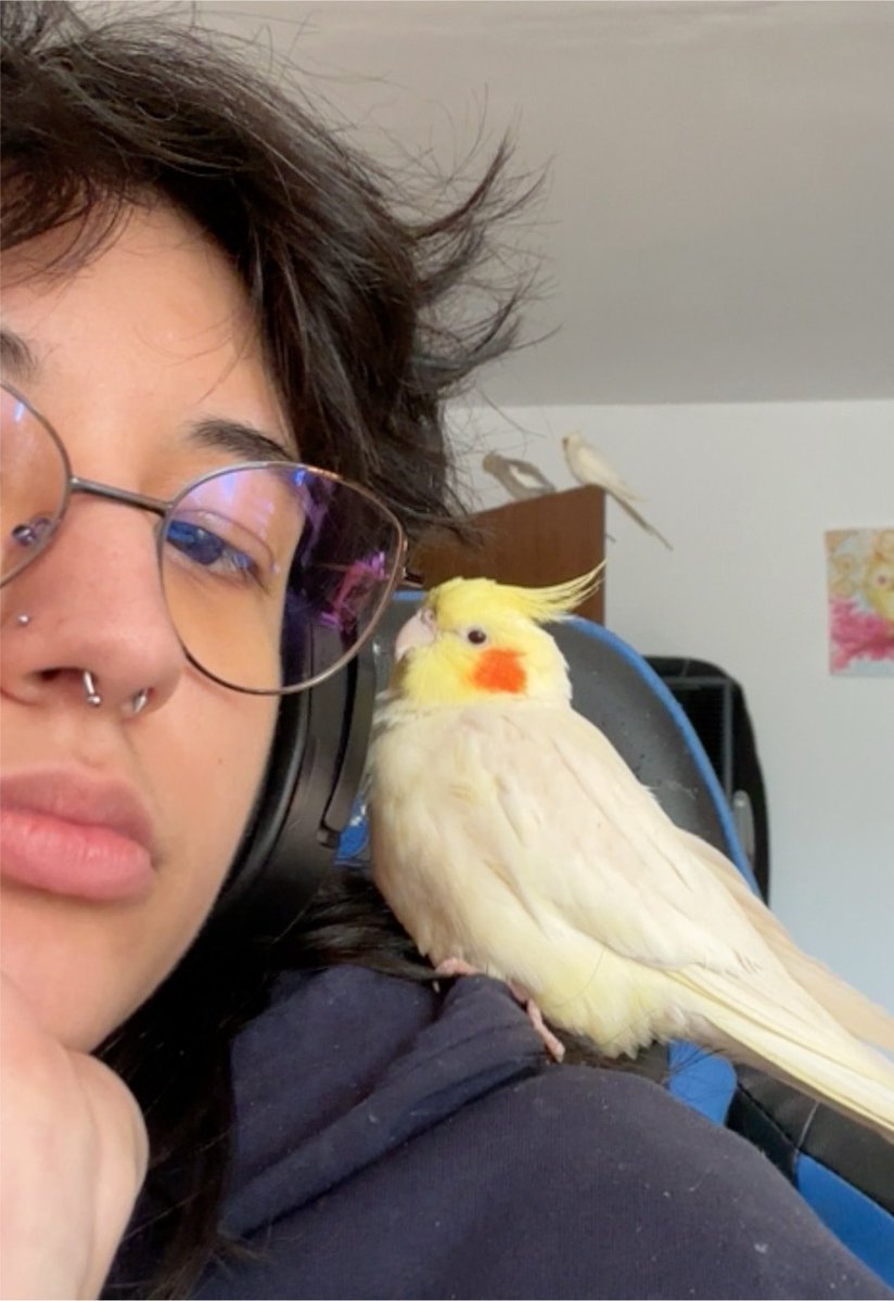 wegoncri's tweet photo. @Angelssuffer found a better pic. i would actually die for this bird and he doesn’t even know it. my man has 1 thought per sometimes https://t.co/J5sRLAcCWC