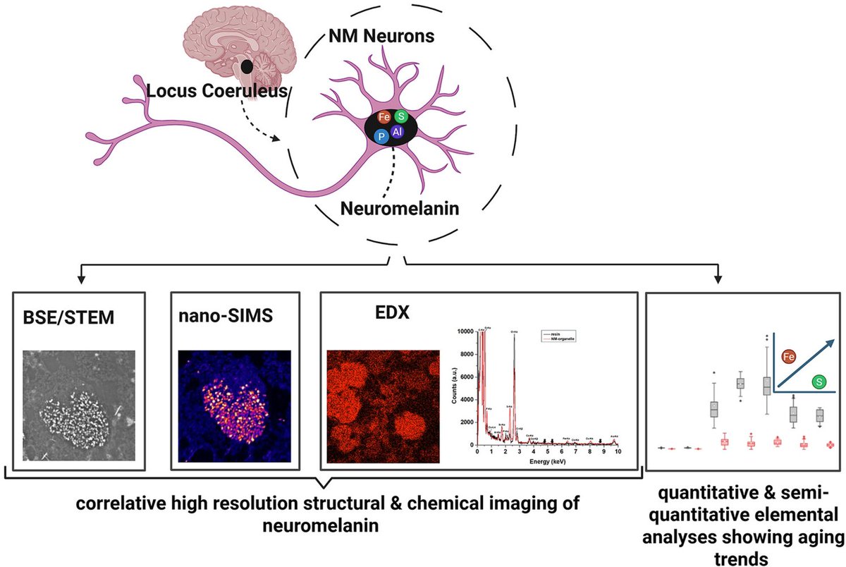 The Science of Parkinson's tweet media