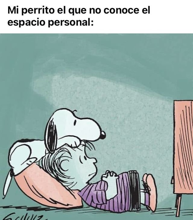 rey_latino33087's tweet photo. https://t.co/Zi5cmsKWvM