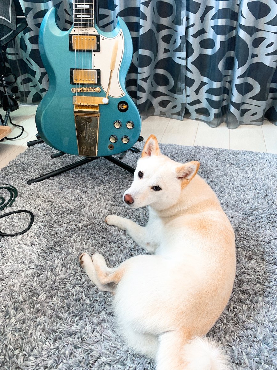 西川 進／感情直結型ギタリスト (@nishikawasusumu) / Posts / X