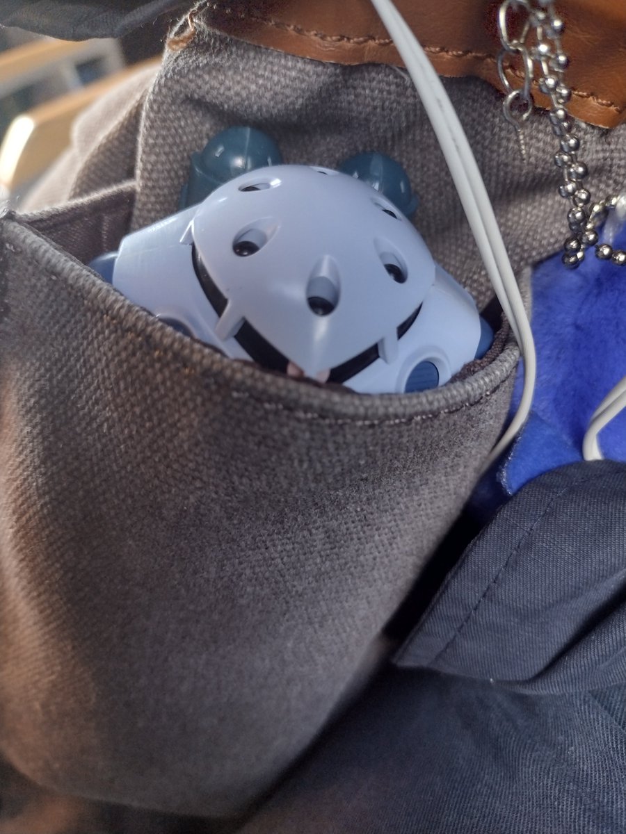 Hi_i_make_a_pie's tweet photo. HG Z'goks are great travel buddies https://t.co/ijZQp3Fyol
