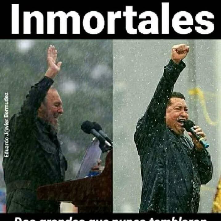 MirandaJobeco's tweet photo. Invictos https://t.co/iqOmnOvPzn