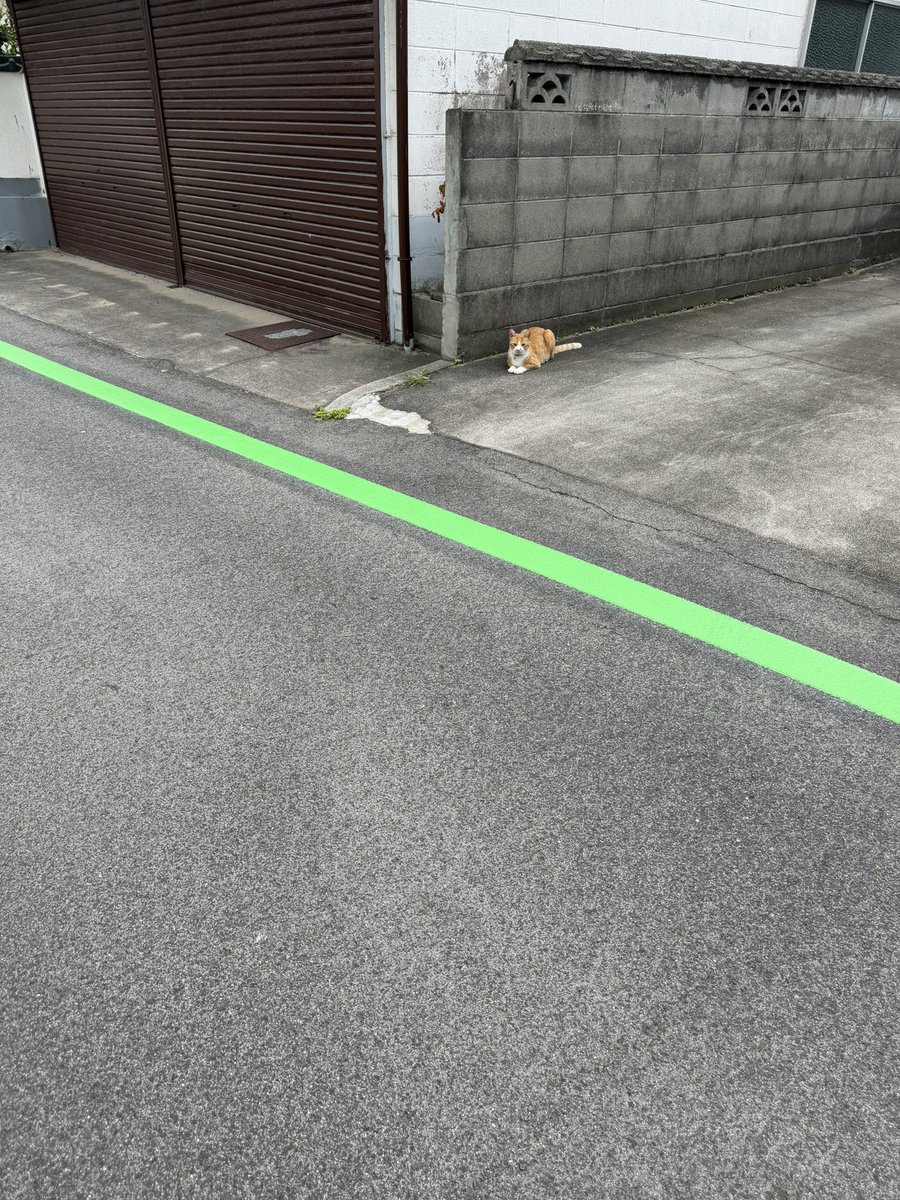 coro56563's tweet photo. あら。 https://t.co/QhhuVd7o0S