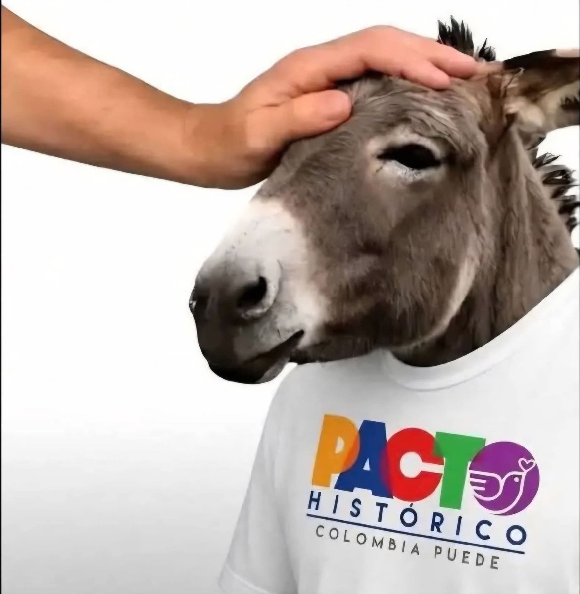 JorgeValChe tweet picture