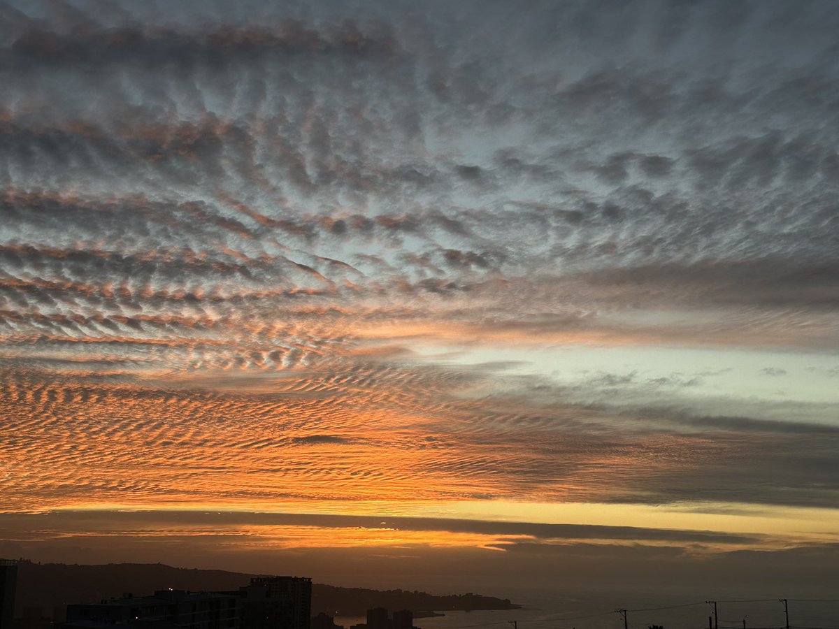 marcodebcn's tweet photo. @Off_Valpo @lali_amiga @Catalina_valpo @AlertaNoticiasV @NoticiasValpoEx @Sepulinares @Reppli_ca @flashjessica @Oriettaf @tzingane @MarichiValeros2 @NicoleLayana @CarlosTeran @edgardolazo @NickoMeteo @claualdu @Lean_Vilches @valparaiso @PortValparaiso @TPS_Valparaiso @Buques_en_Valpo @_catalinacm @pequepinochet @IsaLaDivaTotal @DiscoverChile2 @AlonsoNeiraS @Austropatagonia @ClaudioDiazAnd @gcodinad @Caroinfante1 @vaguadacostera @apuelma @davidurra7 @ernestomolina85 @yaelszewkis @EduardoTVT @michelleadamv @vanessanoea @fransfeir @mabrigaray @alfa @arabella @common @Calypso @great @thalassa @ZHEHAI @RedMeteoA @meteoredcl @reddeemergencia Atardecer con Arreboles sobre el  Puerto de Valparaíso 🫶 https://t.co/k72FzPvTec