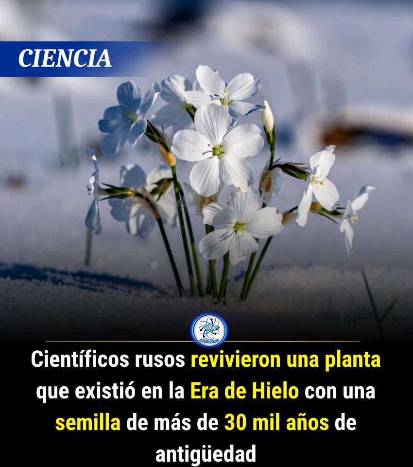 EnsedeCiencia's tweet photo. https://t.co/do4S2WSr9O