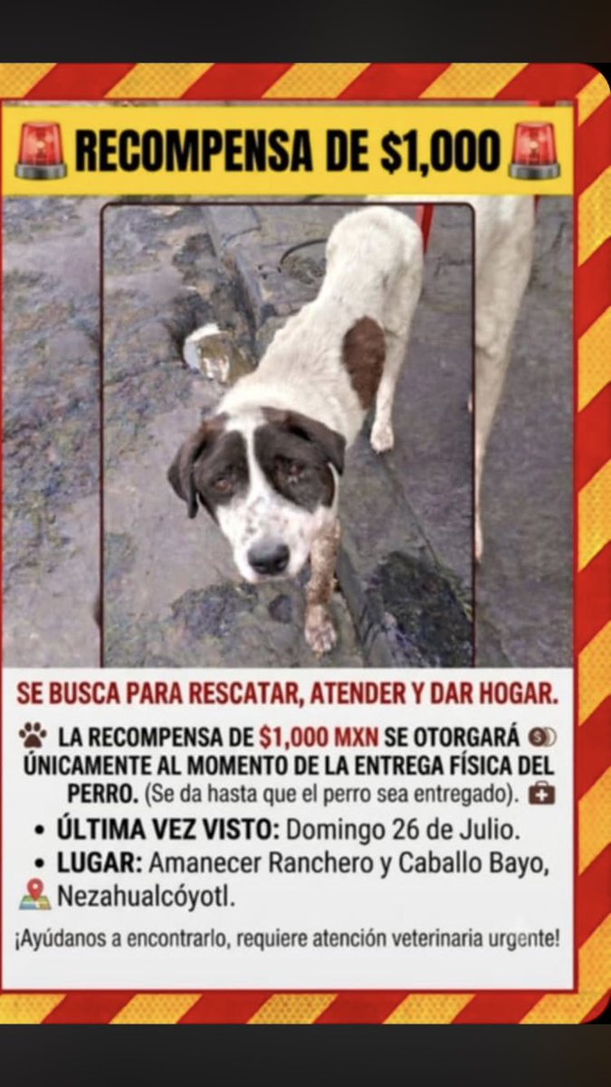 AlejandraVegaF5's tweet photo. ATENCIÓN NEZAHUALCÓYOTL ‼️ https://t.co/YhgRBTUdjF