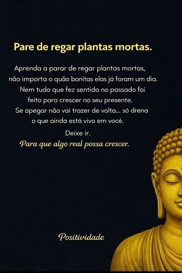 Rocha7591 tweet media