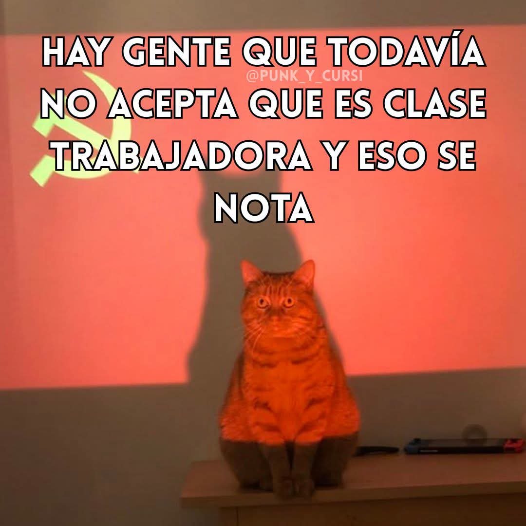 nacional_memes's tweet photo. https://t.co/fLY8vgWRrs