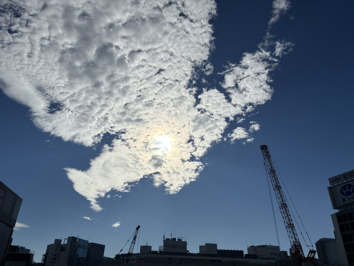 papi1972's tweet photo. おはよう新宿☀️
今日は快晴のお江戸だけど、昨夕熊本で起きた大地震の被災状況が気になるところです💦 https://t.co/P2CWQAloy3