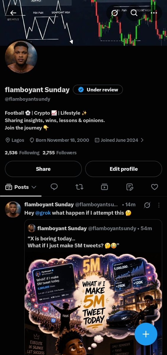flamboyant Sunday tweet media