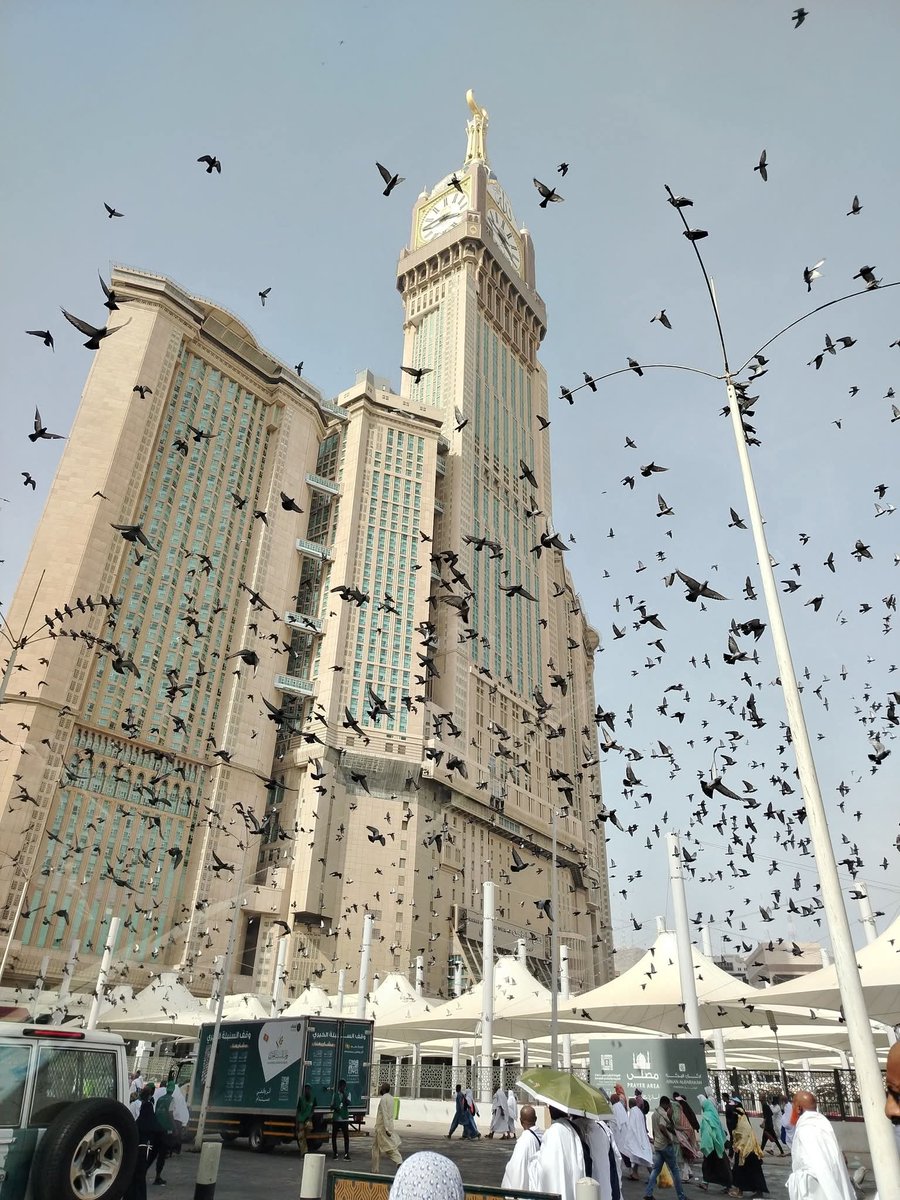 ScreenMix's tweet photo. صاحب الصورة نشرها قائلا :

أنا من التقطت هذه الصورة، وحتى الآن لا أستطيع أن أصدق ما رأته عيناي حقًا. ♥ https://t.co/konzcpYnPg