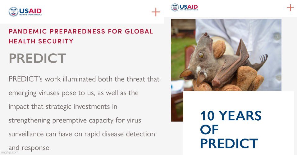 WarClandestine's tweet photo. Who benefitted directly from the release of the man-made bat coronavirus C19?

Biden and the Dems. They were able to steal the election with mail-in ballots, thanks to a pandemic from a virus that they created.

Hunter Biden’s Rosemont Seneca, has a minority stake in a San Francisco-based biolab company, Metabiota, which was founded by Epstein/Maxwell/Clinton affiliated virologist, Nathan Wolfe. This biolab company, Metabiota, was part of USAID Project PREDICT, which is the research that led to C19 being created.

Metabiota operated in countries around the world, including Ukraine, which was the source of quite a bit of controversy in the war between Russia and Ukraine.

So what’s my point? My point is, that Hunter Biden is a bagman for Biden/Obama, and they had ownership of offshore USAID/CIA biolabs that were carrying out the dangerous research (PREDICT) that created the virus, that allowed them steal the 2020 election from Trump.

I think the evidence speaks for itself. The Deep State used USAID funds and NGOs to offshore biological weapons, and they released one in order to steal an election and overthrow Trump.