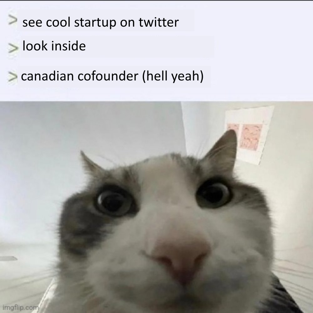 Build Canada tweet media