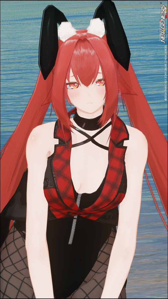 shouene_ecomode's tweet photo. この服の光沢感がバニーにしか見えなくてぇ…
 #PSO2NGS
 #メンテの日なのでssを貼る https://t.co/QPa84sNCcv