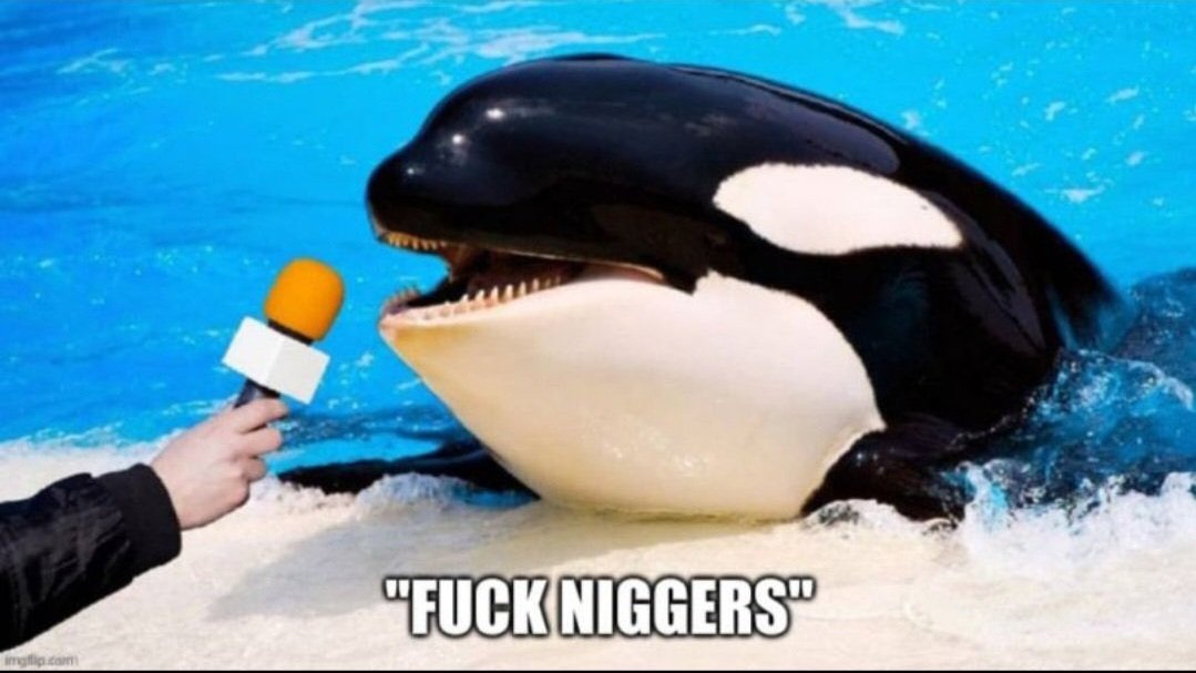 AltruisticRacoo's tweet photo. @AntiWokeMemes https://t.co/dJZNJCbOTi