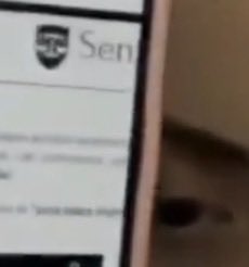 Felipe Leme tweet media