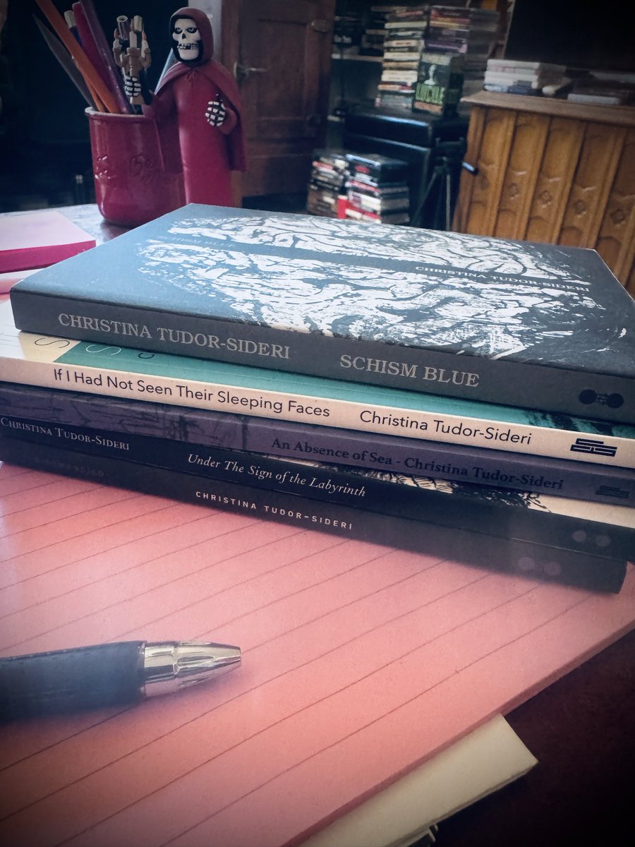 nothingcoheres's tweet photo. certain ideas and words continue to insist and persist, not as memories of a book, but through consequences that continue to find new forms. thank you 🖤 @dreamsofbeing_ https://t.co/90ijf1gLiW