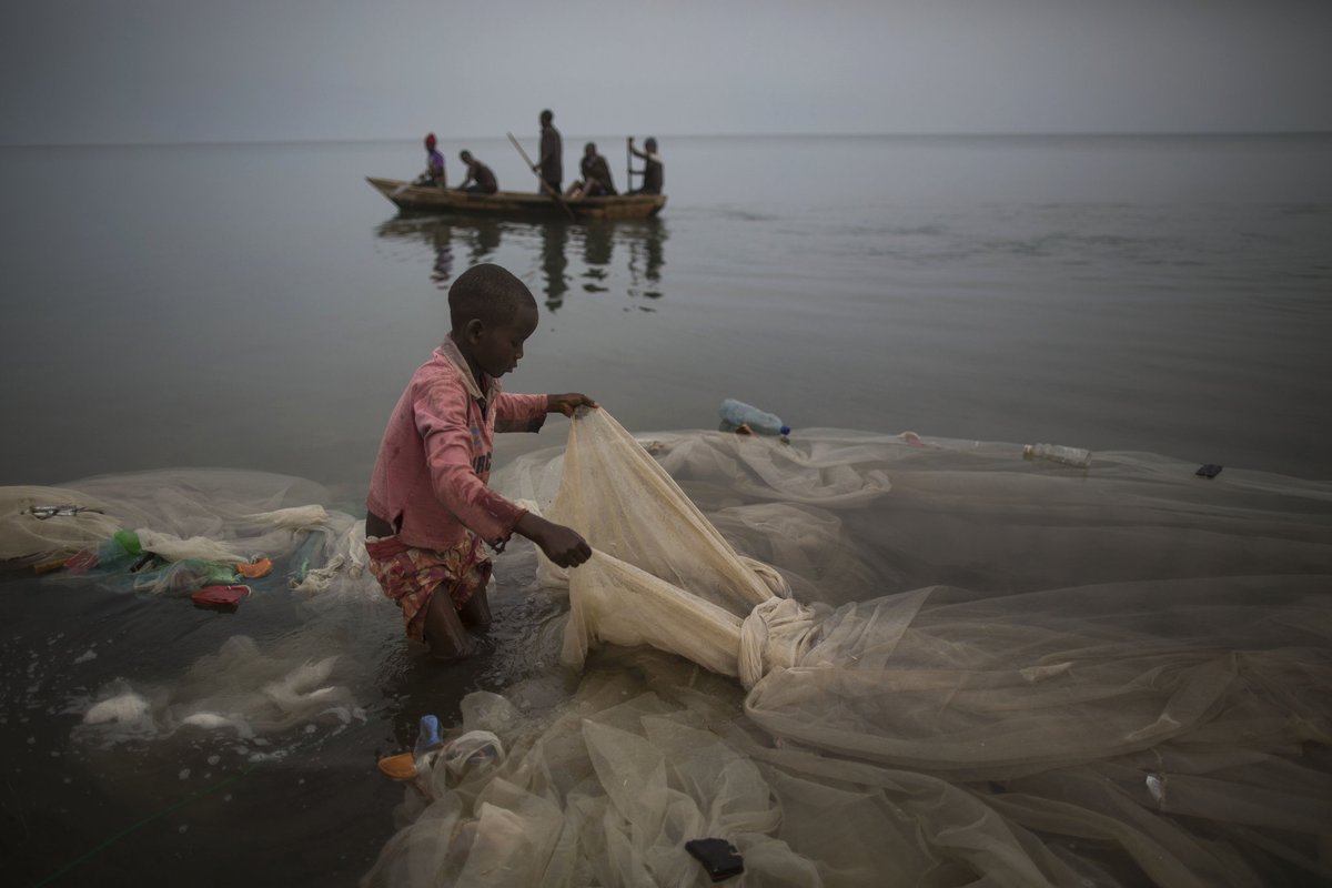 TAmTrib's tweet photo. It's worth noting that at no point in this post/video is there an admission that Africans are capable of human agency.

Like, it's not even imagined here that maybe Africans had some responsibility for not acting the most retarded way possible with the help they were given.

I'm no fan of Gates or his social engineering projects, but it's just lazy to blame him for creating this issue.

If you give Africans mosquito nets and they use them to crash their own fisheries, that's on them. The "widespread hunger" isn't our problem, it's theirs.

Unless we're now, finally, comfortable with admitting that Africans basically have the sentience of small children, in which case no amount of aide is adequate and they should just be ruled. Not gonna cross my fingers that'll take off any time soon.

How many times do we have to repeat: DO NOT FEED/GIVE RESOURCES TO THE WILDLIFE.