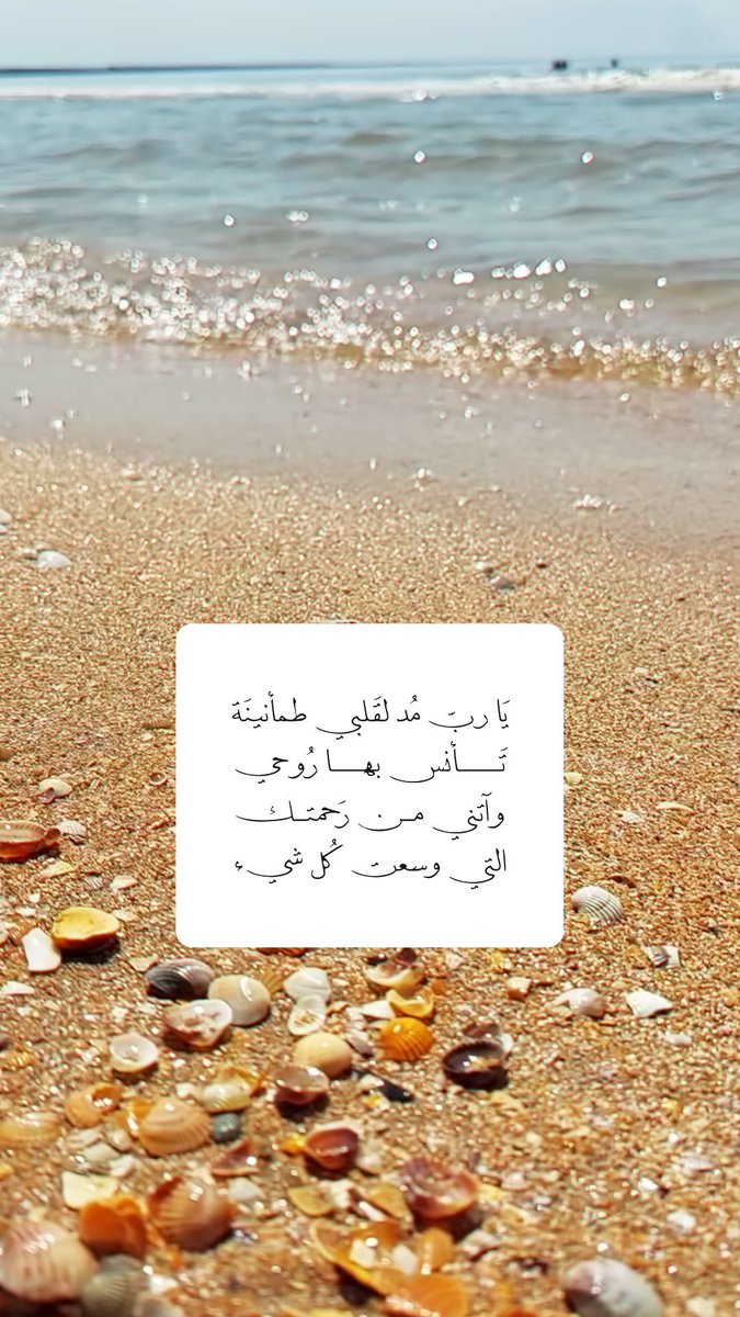 Survivor_Flower's tweet photo. 💙🌊🐚🪸 https://t.co/6RPfgmNzmp