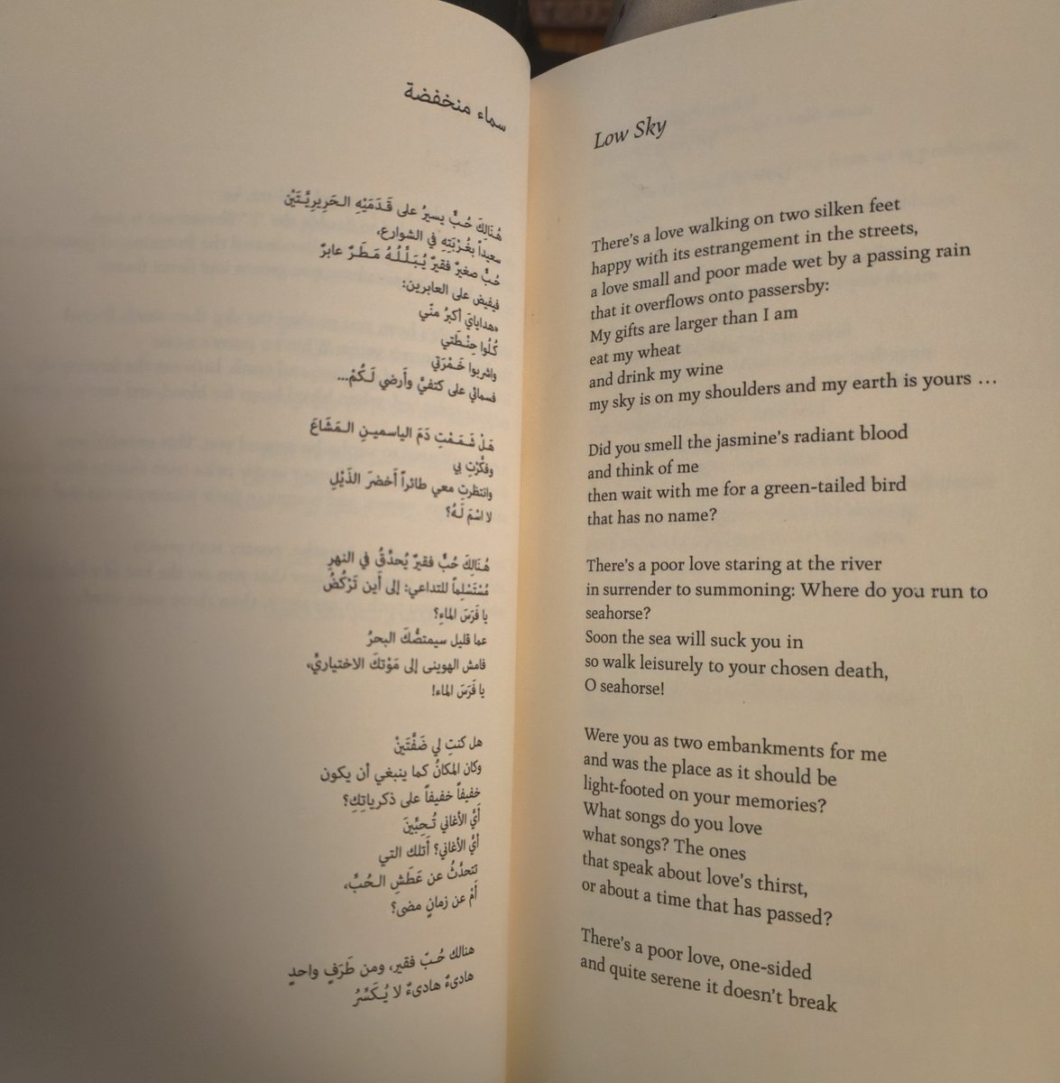 Moe_zur's tweet photo. #TheButterflysBurden #MahmoudDarwish 

"Will you come with me, or walk alone in your name as an exile that adorns exile with its glitter?" https://t.co/tW4QVxwiTn