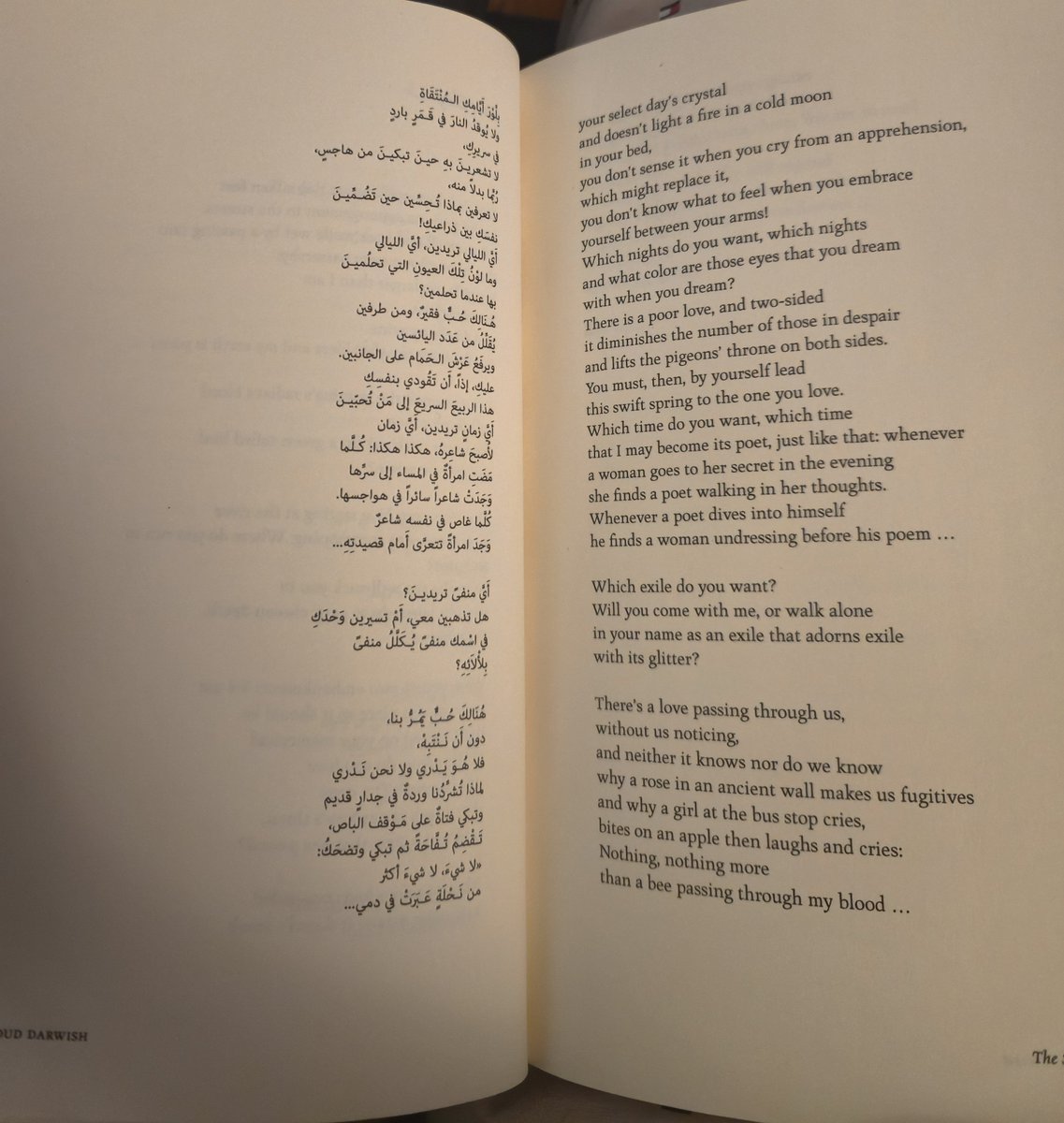 Moe_zur's tweet photo. #TheButterflysBurden #MahmoudDarwish 

"Will you come with me, or walk alone in your name as an exile that adorns exile with its glitter?" https://t.co/tW4QVxwiTn