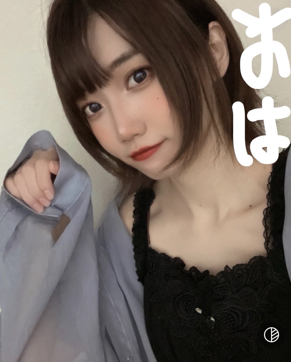 mishelcat2828's tweet photo. おはようございます☀️ https://t.co/PD5gASU0yM