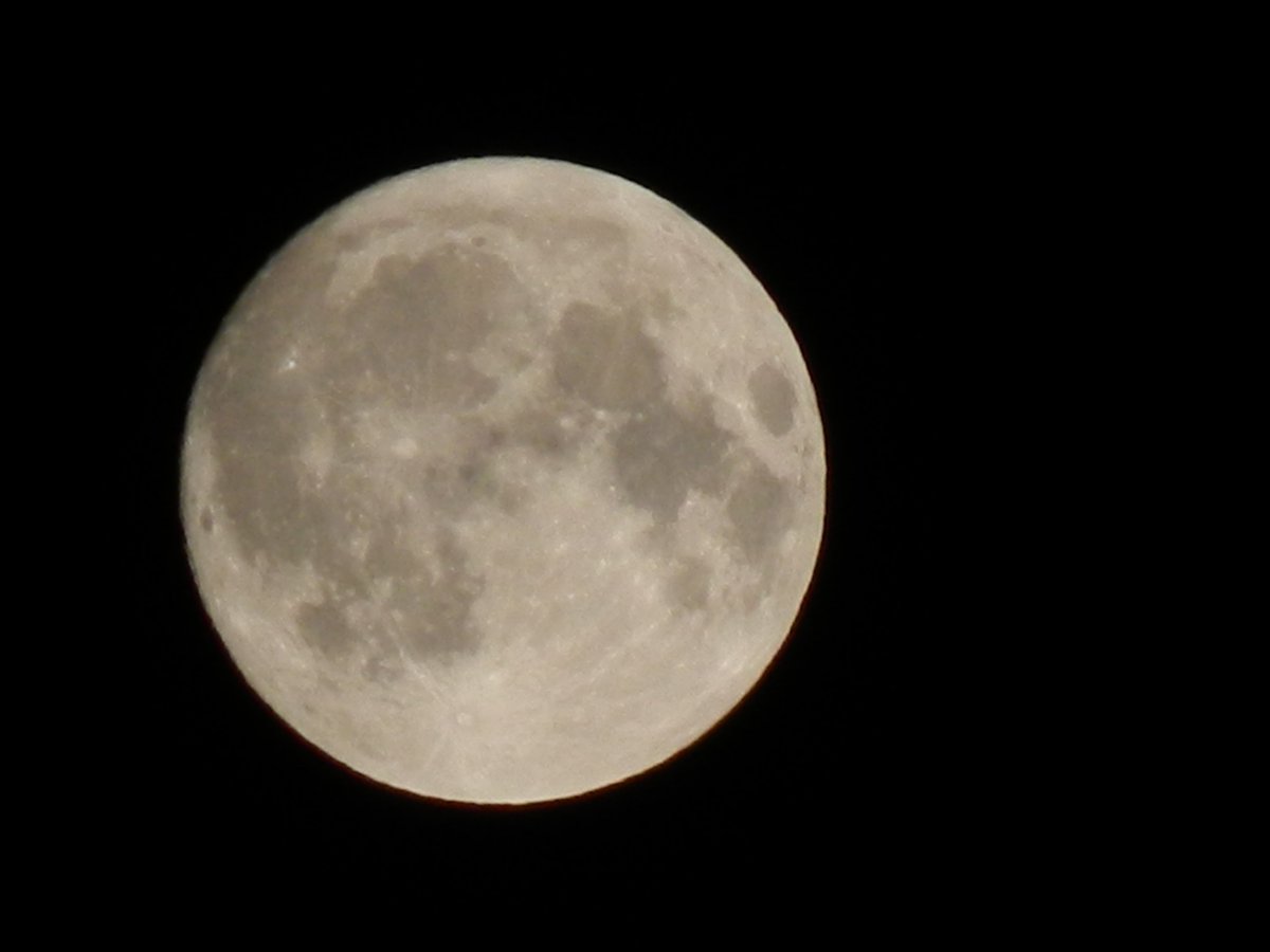 ghostyyaltair's tweet photo. Hi to the moon ♡♡♡ 

#moon #fullmoon #nightsky #astrophotography #photohraphy #astronomy #hobbyphotographer #photographer #summer #night https://t.co/TlvjsLqvxB