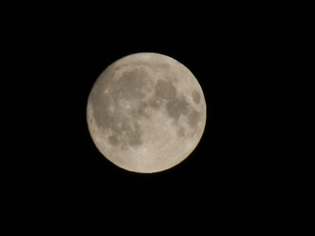ghostyyaltair's tweet photo. Hi to the moon ♡♡♡ 

#moon #fullmoon #nightsky #astrophotography #photohraphy #astronomy #hobbyphotographer #photographer #summer #night https://t.co/TlvjsLqvxB