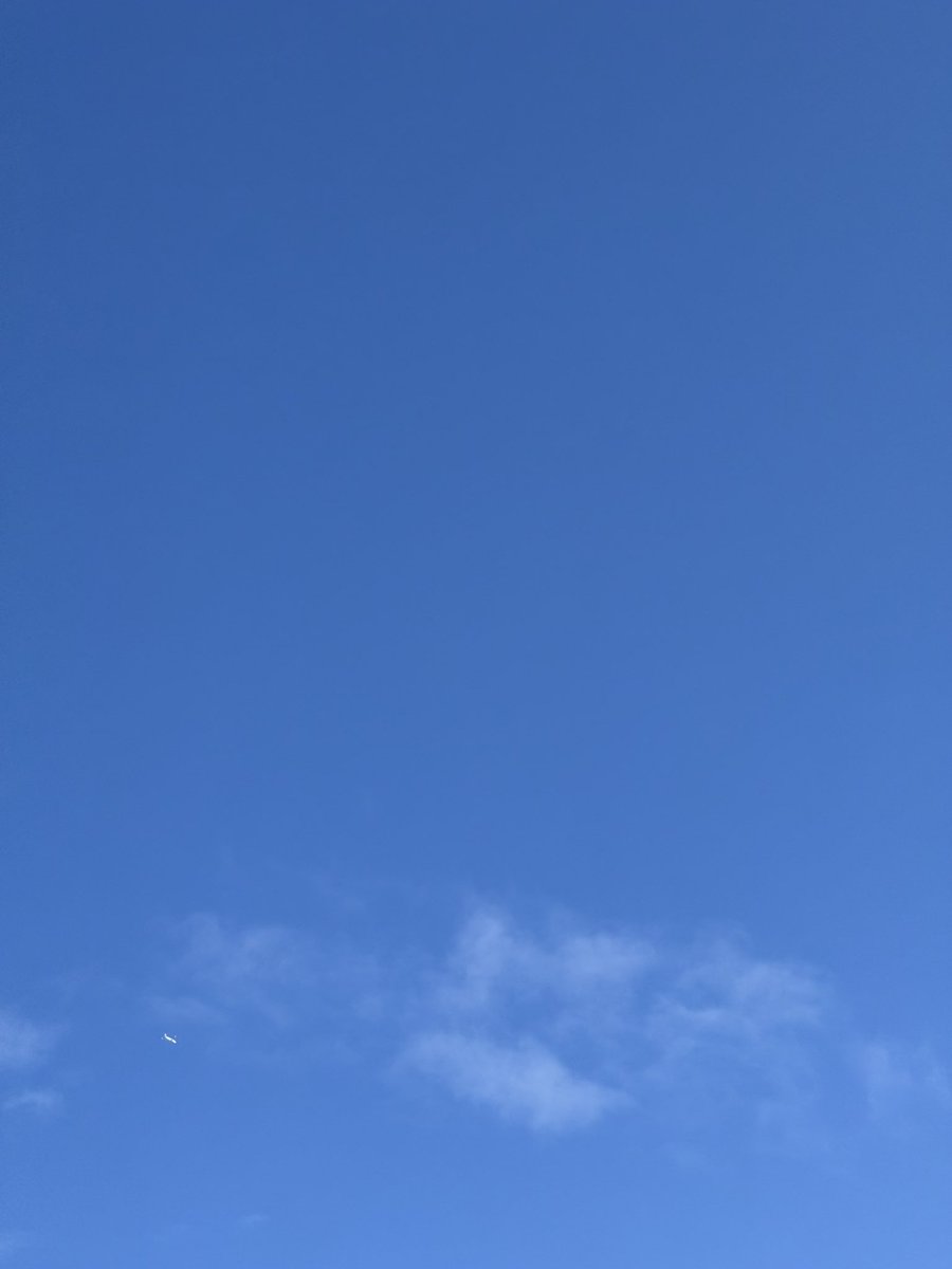 Tsubamoe07's tweet photo. グッドもえニング☀️ 
県外日帰り往復ツアーが始まり
忙しくなる日

今日朝撮ったら飛行機が写りました✈️
（左下）
にしても朝から暑いです🥵

#杉本萌 https://t.co/DkargRHWKw