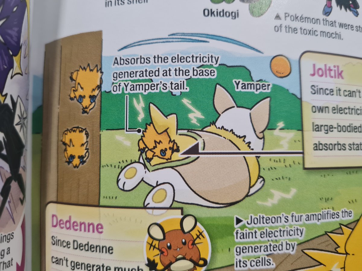 Yoriden150's tweet photo. This Yamper-Joltik interaction was made into one of the silliest pokemon plush ever. https://t.co/D3TrYThOEu