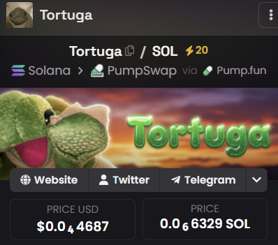 Tortuga 🐢 tweet media