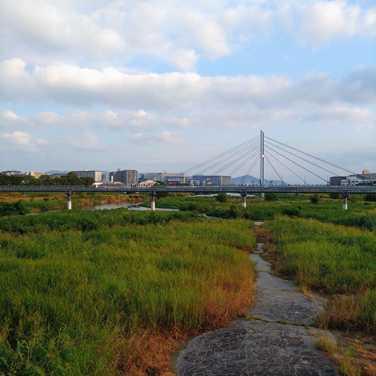 Tokucyan2's tweet photo. 狸に逢いたい〜
#猪名川 #藻川 #walking #cycling #河川敷 #水道橋 #ラジオ体操 #六甲山 #箕面山麓 #五月山 #伊丹 #園田 #阪急園田駅 #農業公園 #神津大橋 #生駒山麓 #園田競馬場 #甲山 https://t.co/uFQfvcwrtG