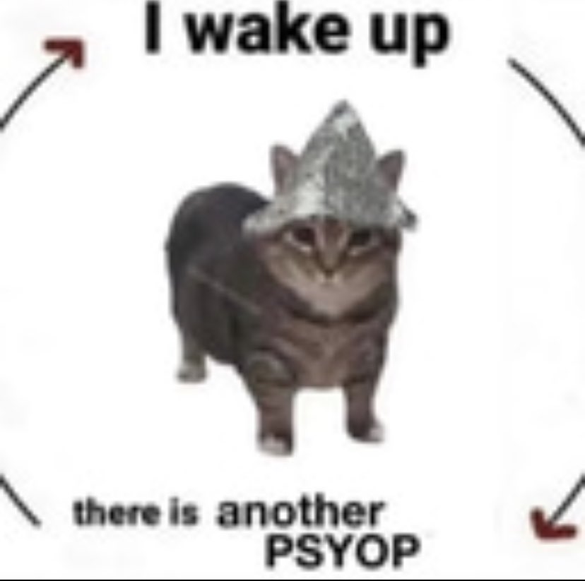 psyopcat__'s tweet photo. Just woke up and… https://t.co/IkY9QYVQG6