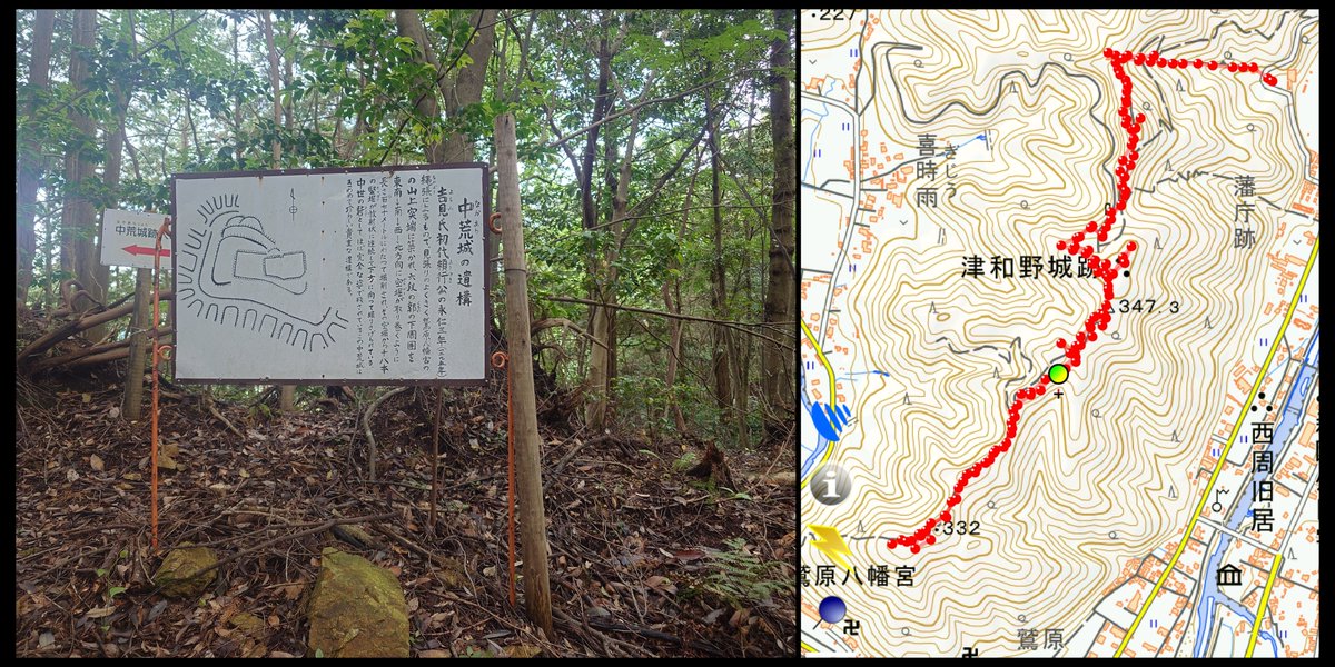 46seiun4444's tweet photo. 石見 中荒城🏯島根県津和野町

【国指定史跡】津和野城跡
津和野城の出城とも云われています💡

三の丸経由で中国自然歩道を南西に進み分岐点に案内板があ��ます👍
主郭（⏰三の丸から15分程度🚶‍♂️）にも説明板あり、郭周辺は畝状竪堀群で守られています✨

熊出没可能性がありますのでご注意⚠️ https://t.co/RrEXeKzsF8