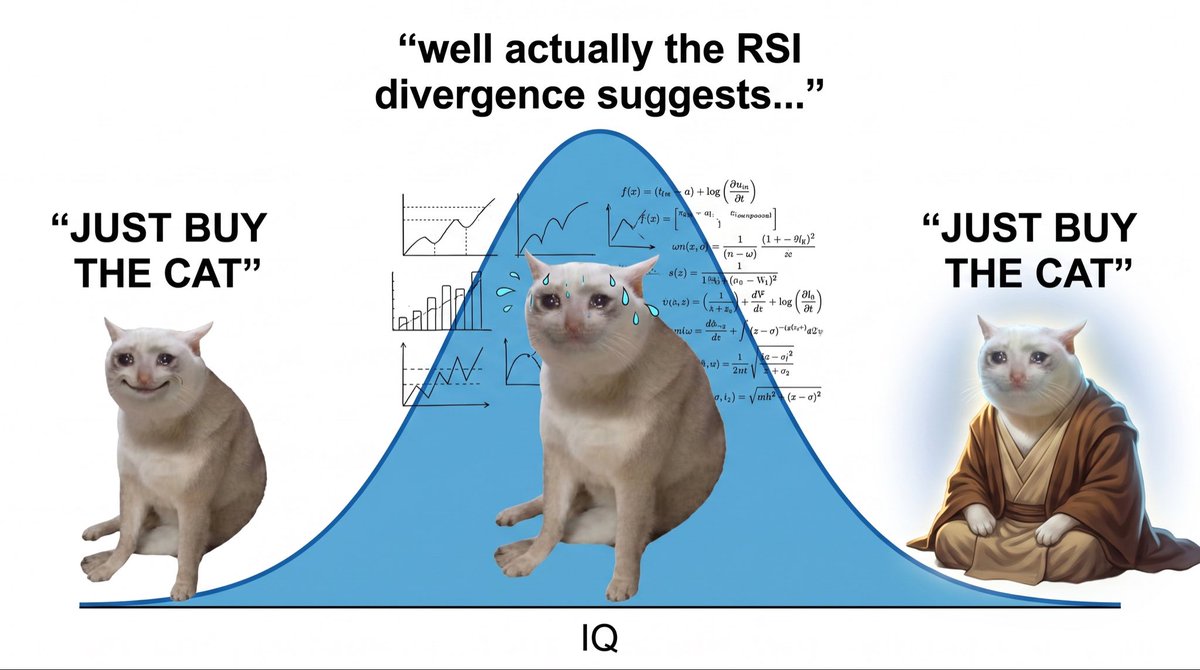 kenjidgn's tweet photo. $cashcat is the only organic meme of this cycle yet degens rather get rinsed on bundled scam runners everyday.
when will you learn the lesson?

just buy the cat. https://t.co/D6K1f4QOc8